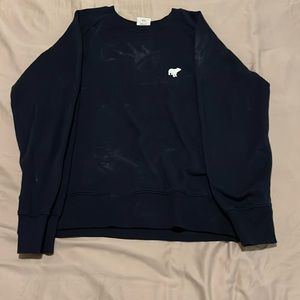 Blue crewneck sweater